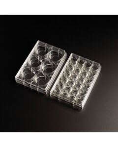 GLASS BOTTOM PLATES